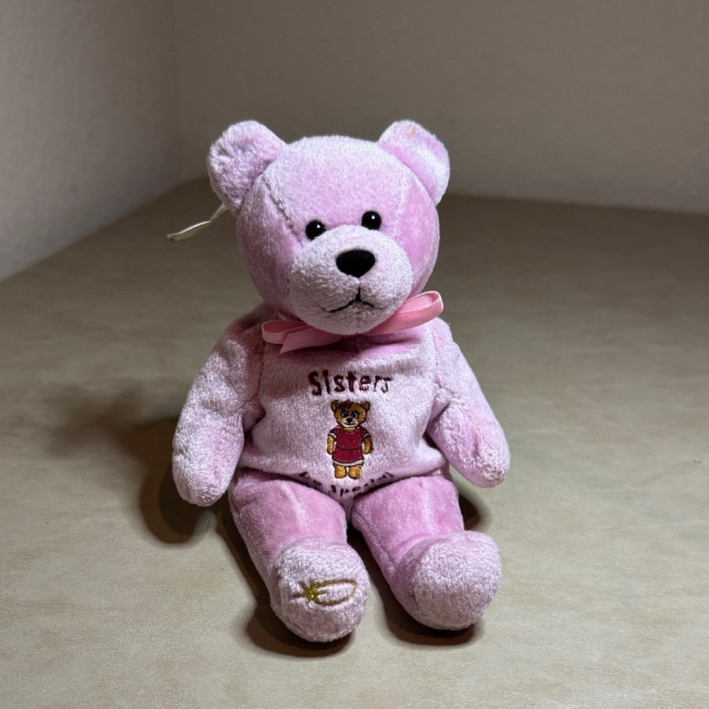 Holy Bible - Sisters are Special - Pink Plush Teddy Bear Toy